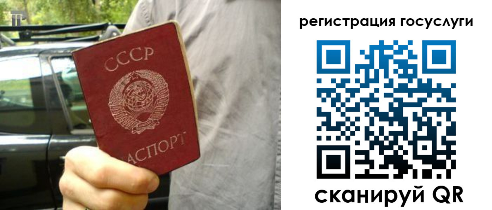 прописка законно в Сосновке